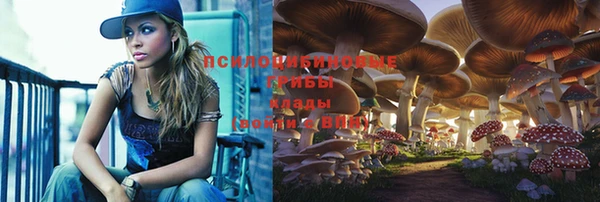 ешки Великий Новгород