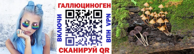 Псилоцибиновые грибы прущие грибы  Воронеж 
